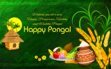 happy-pongal-2022-wishes-images-greetings-english-hindi-tamil-1.jpg