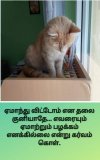 FB_IMG_1642619791271.jpg