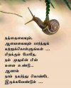 FB_IMG_1644456221135.jpg