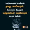 download (5).jpeg