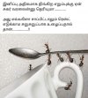 FB_IMG_1651437771545.jpg