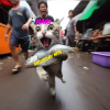 Color Splash_2024759634186.png