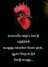 FB_IMG_1652897721124.jpg