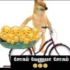 FB_IMG_1660150236413.jpg