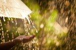 woman-hand-umbrella-rain-green-nature-background-93600378.jpg