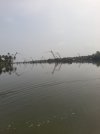 20250427_095121.jpg