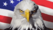 freedom-america.gif