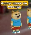 1000222216.jpg