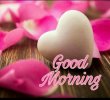 324703-Good-Morning-Heart.jpg