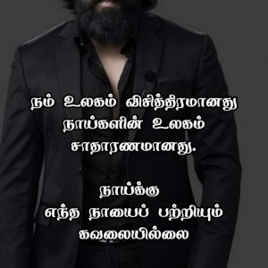 FB_IMG_1652186805385.jpg