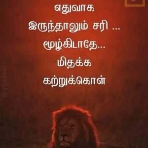 FB_IMG_1652353310651.jpg