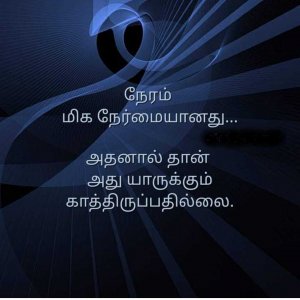 KyMvNkml-9812388164.jpg
