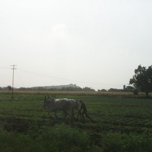 IMG_20140101_102224.jpg