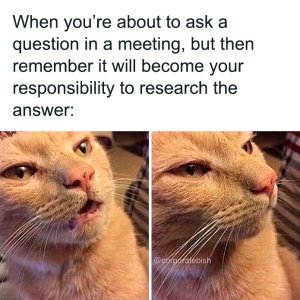 wok-memes-corporate-bish-7-62f22abe3162b__700.jpg