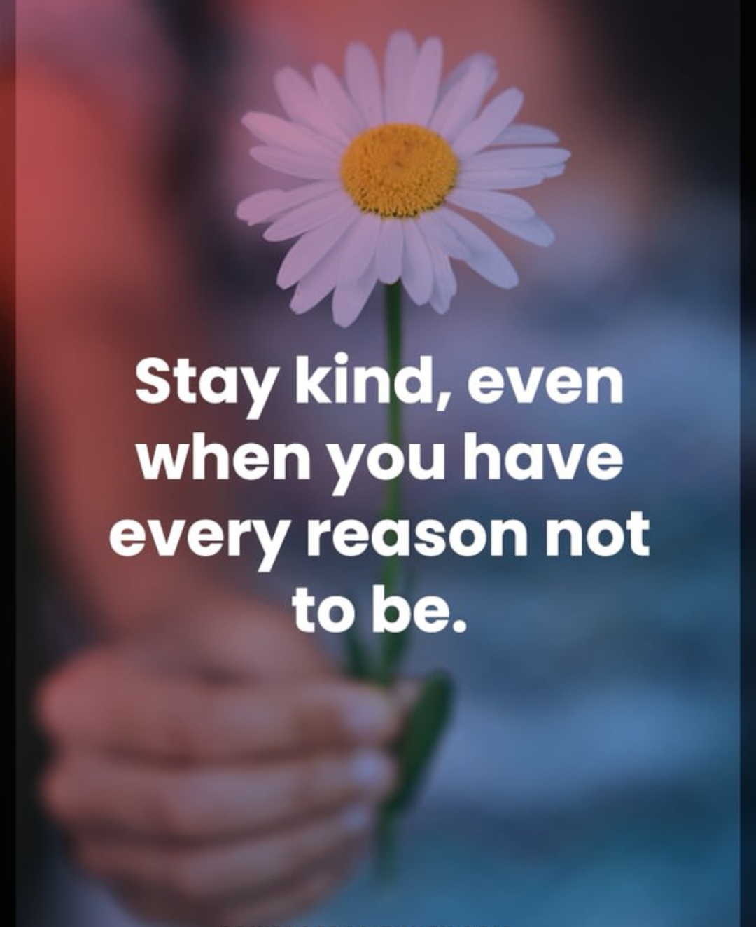 Stay Kind.jpg